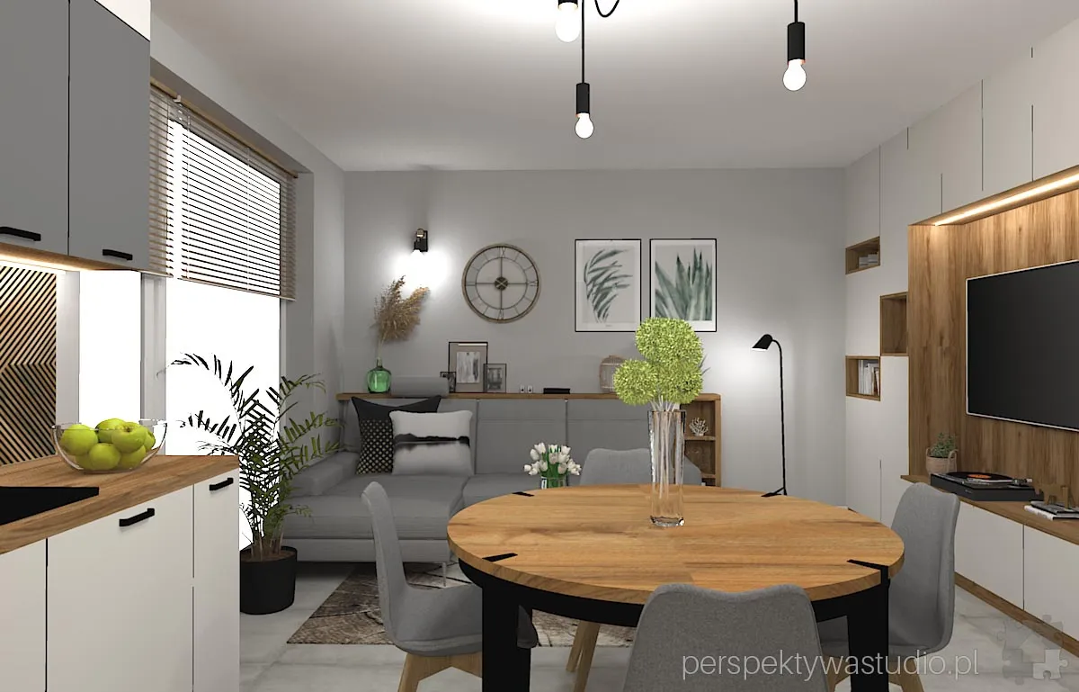 projektant wnetrz Lublin perspektywastudio.pl projekt salonu z aneksem concept 10