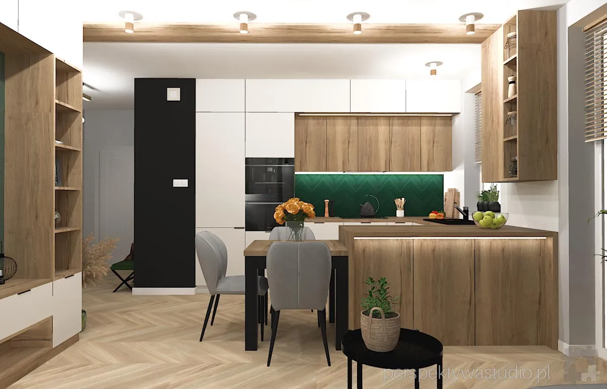 projektant wnetrz Lublin perspektywastudio.pl projekt salonu z aneksem green wolf 1