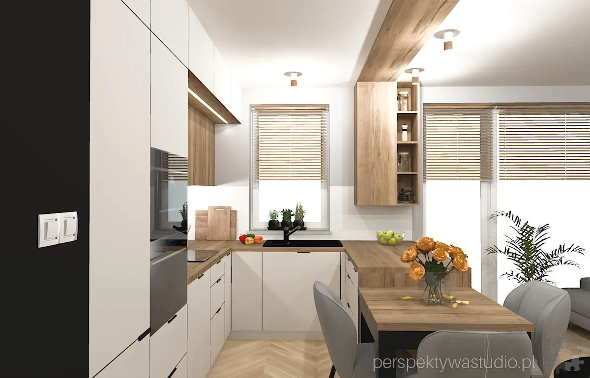 projektant wnetrz Lublin perspektywastudio.pl projekt salonu z aneksem green wolf 6