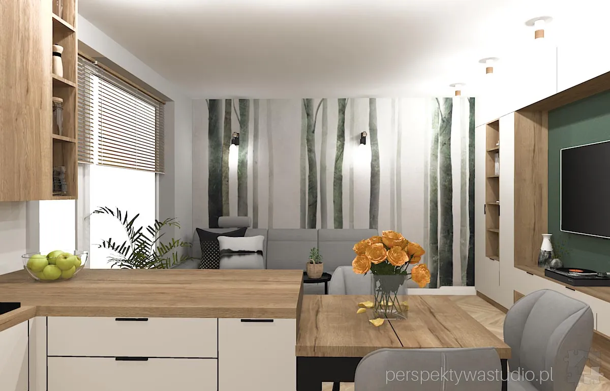 projektant wnetrz Lublin perspektywastudio.pl projekt salonu z aneksem green wolf 8