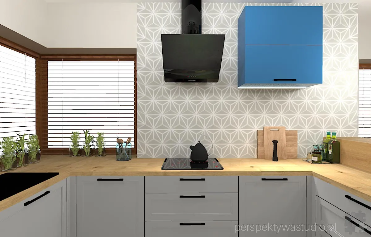 projektant wnetrz Lublin perspektywastudio.pl projekt salonu z aneksem hex flex 1