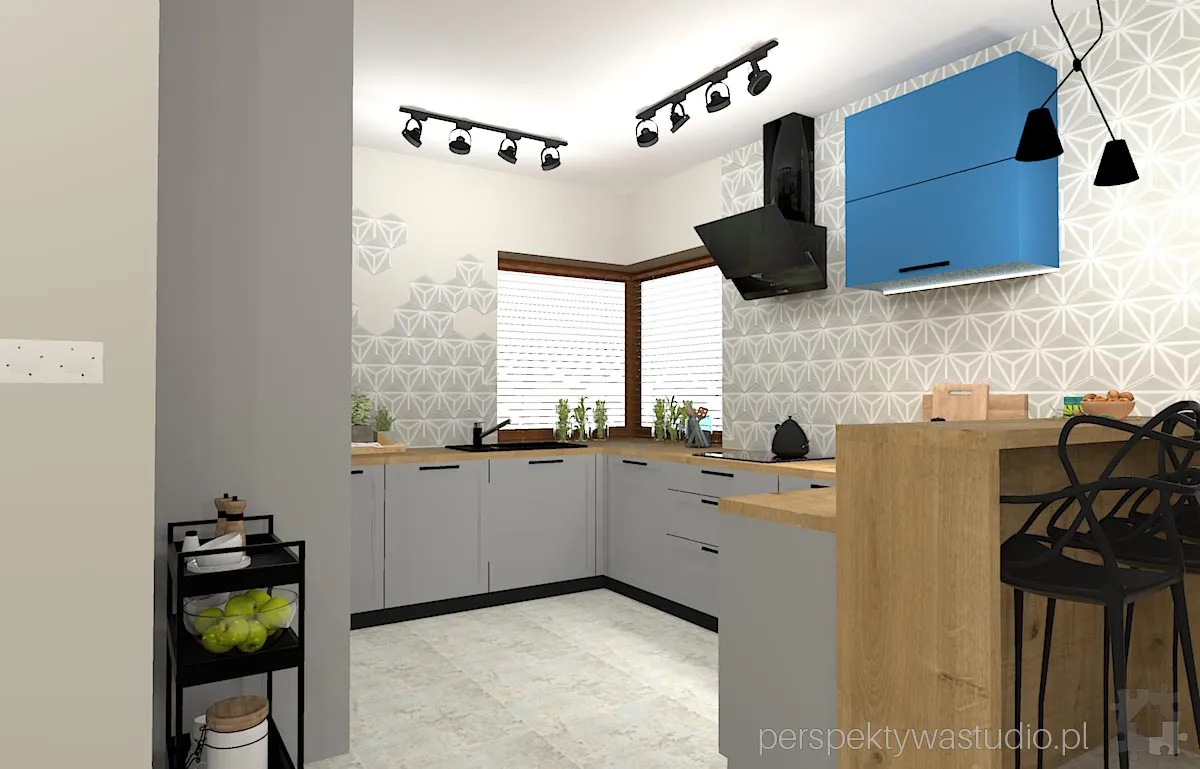 projektant wnetrz Lublin perspektywastudio.pl projekt salonu z aneksem hex flex 2