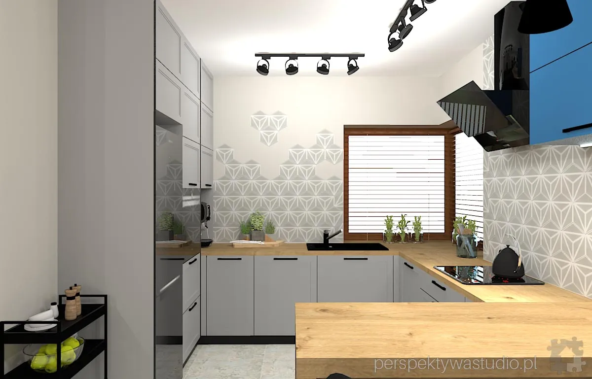 projektant wnetrz Lublin perspektywastudio.pl projekt salonu z aneksem hex flex 3