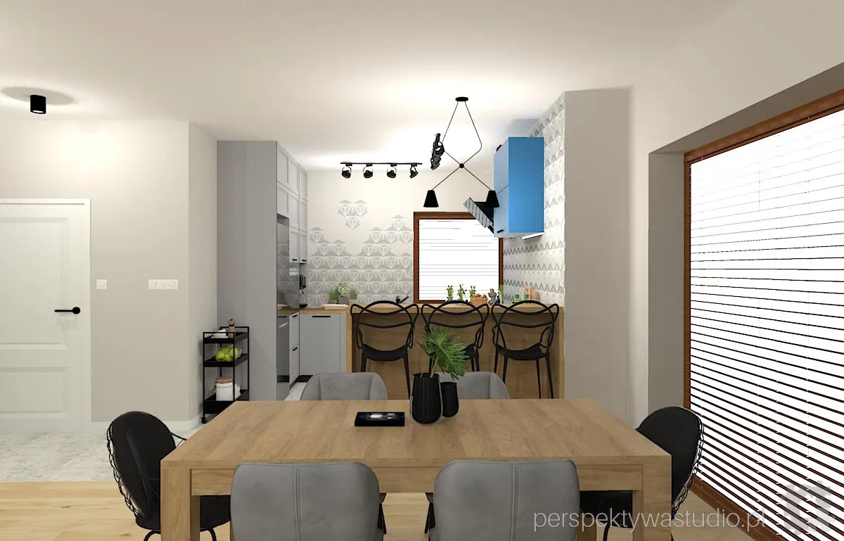 projektant wnetrz Lublin perspektywastudio.pl projekt salonu z aneksem hex flex 4