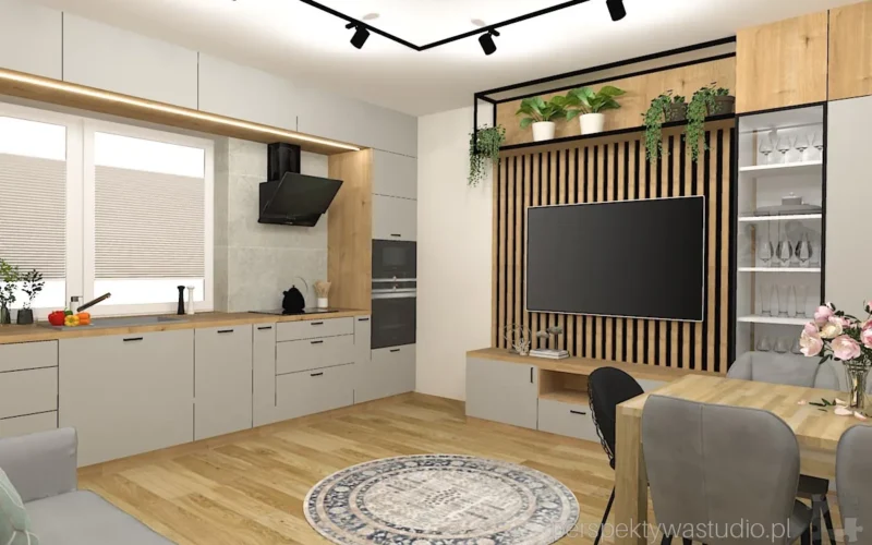 projektant wnetrz Lublin perspektywastudio.pl projekt salonu z aneksem kaczki za woda 15