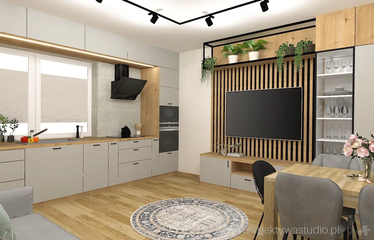 projektant wnetrz Lublin perspektywastudio.pl projekt salonu z aneksem kaczki za woda 15 projektant wnetrz Lublin perspektywastudio.pl projekt salonu z aneksem kaczki za woda 15