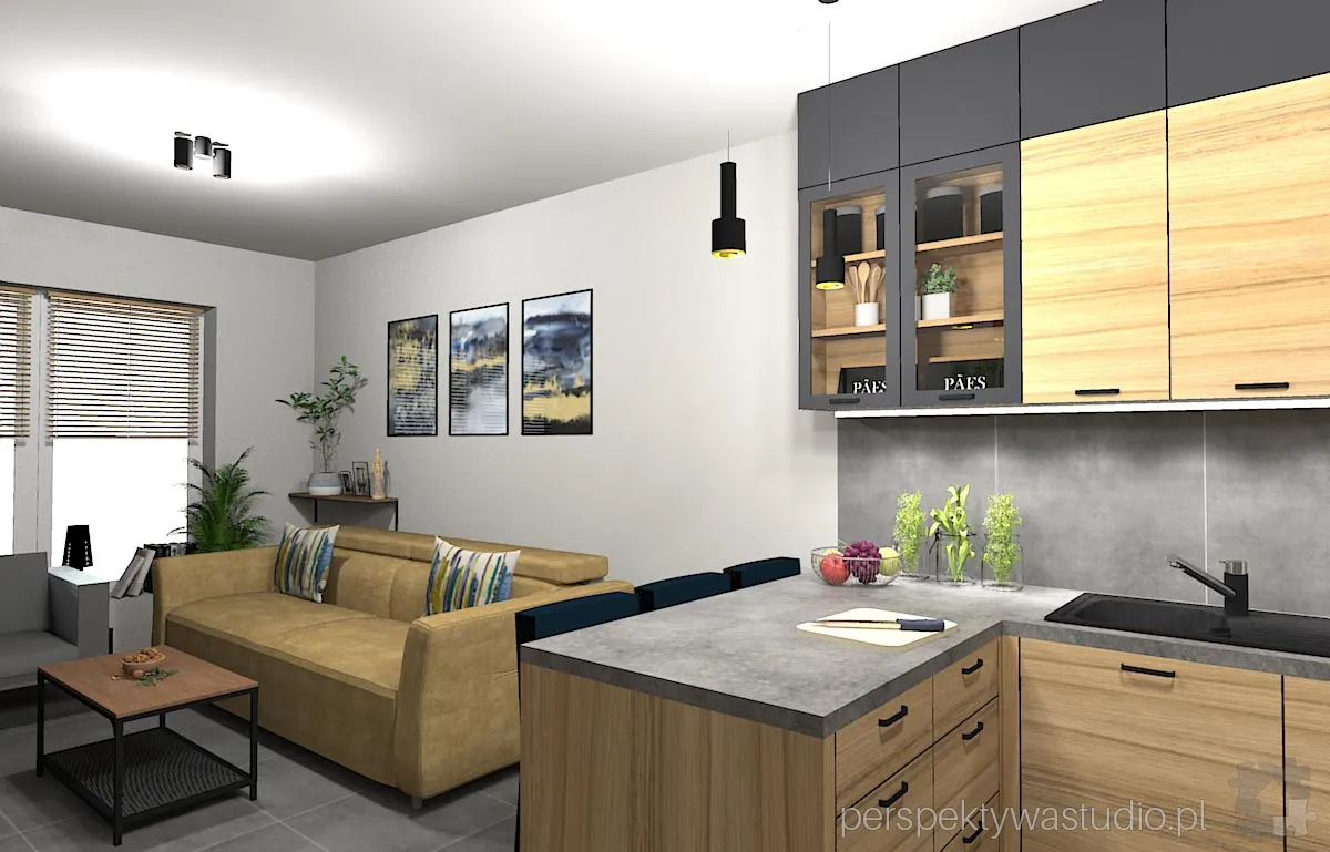 projektant wnetrz Lublin perspektywastudio.pl projekt salonu z aneksem kanarek 7 projektant wnetrz Lublin perspektywastudio.pl projekt salonu z aneksem kanarek 7