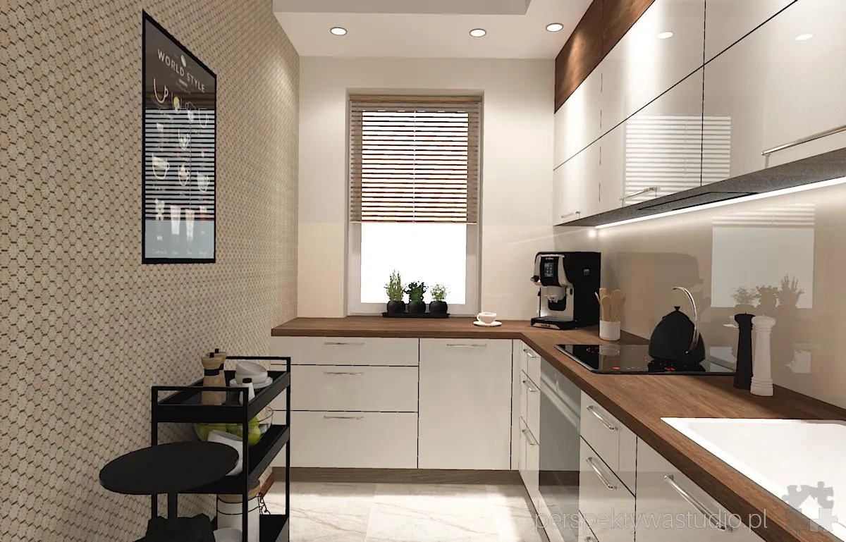 projektant wnetrz Lublin perspektywastudio.pl projekt salonu z aneksem makkasar 8 projektant wnetrz Lublin perspektywastudio.pl projekt salonu z aneksem makkasar 8