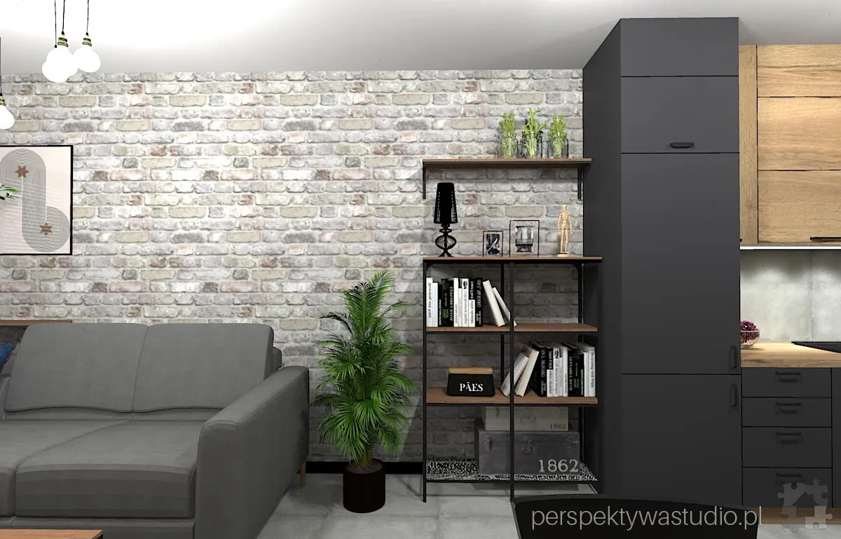 projektant wnetrz Lublin perspektywastudio.pl projekt salonu z aneksem mini 11