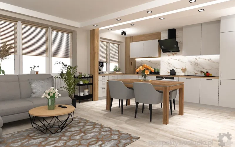 projektant wnetrz Lublin perspektywastudio.pl projekt salonu z aneksem zero home 9