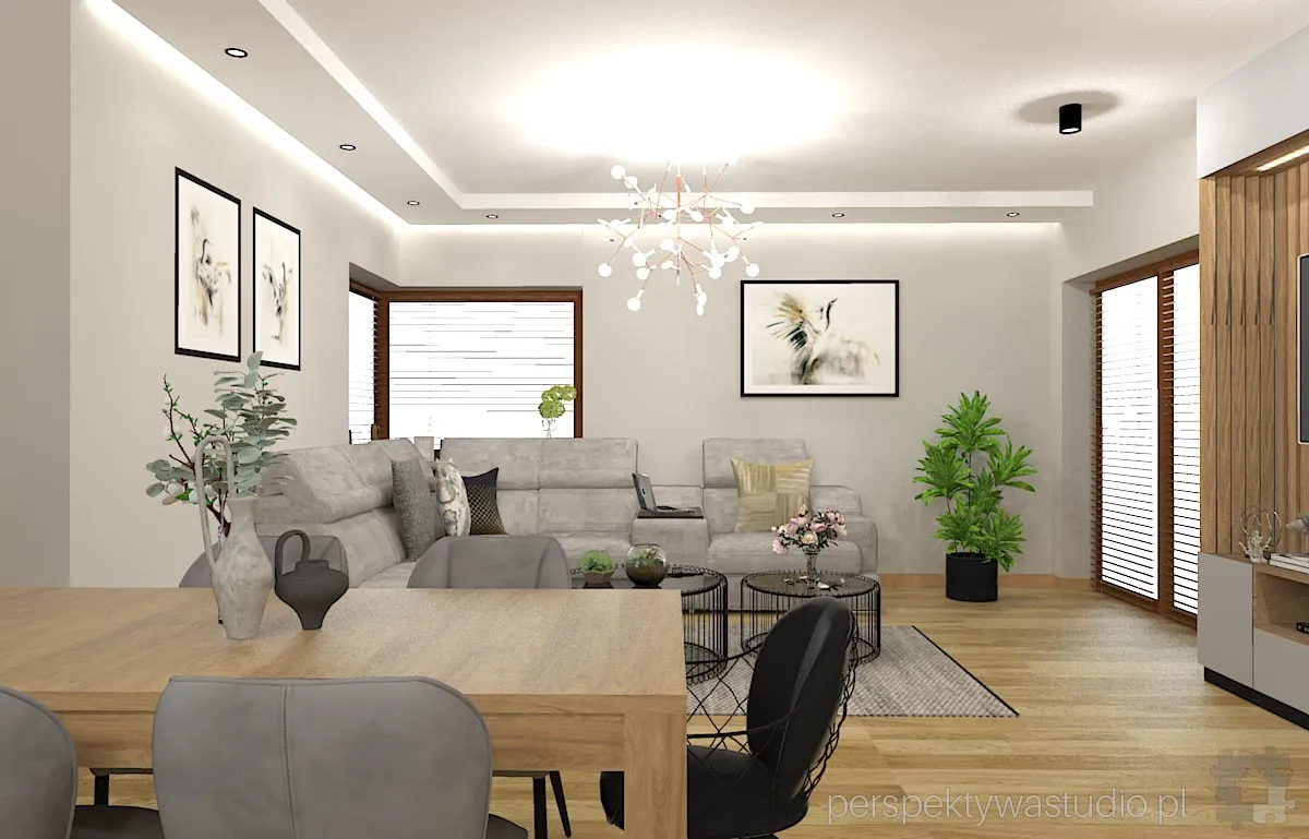 projektant wnetrz Lublin perspektywastudio.pl projekt salonu z aneksem zurawi taniec 17